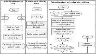 A self-training subspace clustering algorithm based on adaptive confidence for gene expression data